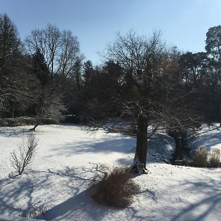 Clairefontaine-en-Yvelines Moulin De Vilgris B&B 외부 사진