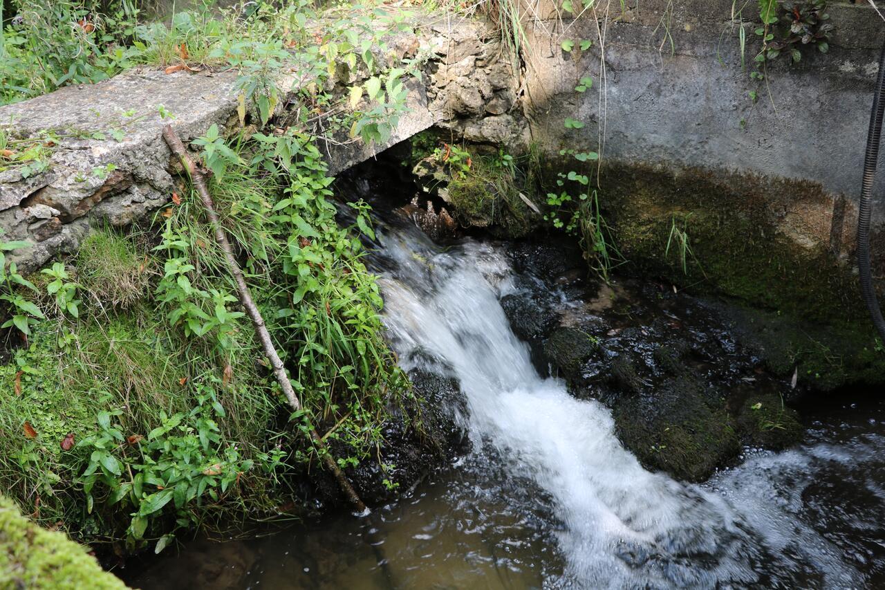 Clairefontaine-en-Yvelines Moulin De Vilgris B&B 외부 사진